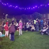 Carols on the Green 2016