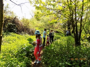 Discovering God's creation